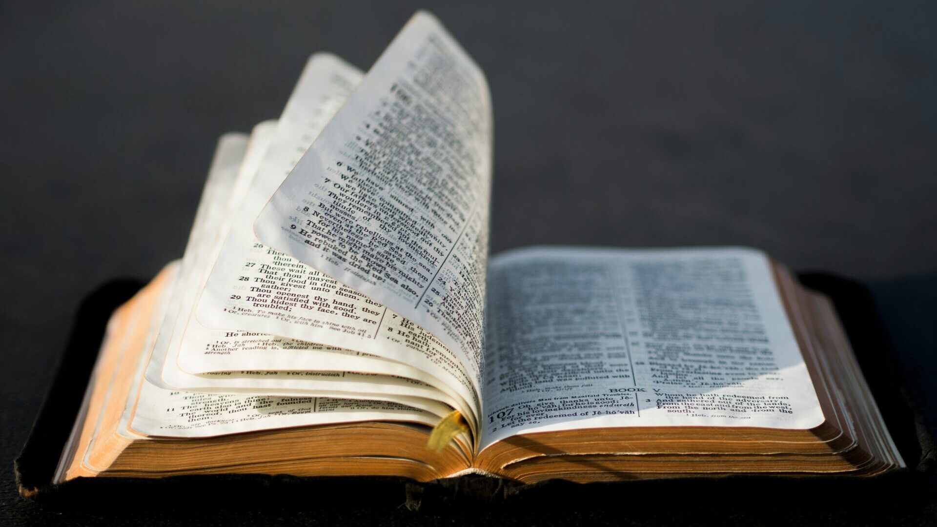 Bible